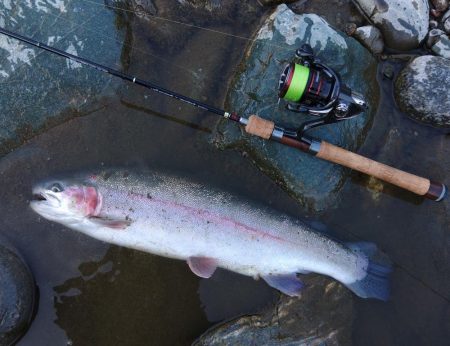 朝は爆風、午後は穏やか ～天竜川ルアーフライ専用区～